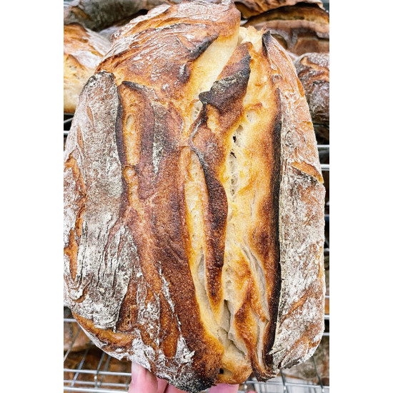 Pâine franțuzească de la Prospero